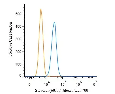 FACS (Intracellular staining) analysis of U2OS cells using GTX24470 Survivin antibody [60.11]. Blue : Primary antibody Orange : Isotype control Dilution : 5 microg/mL Fixation : 4% PFA Permibilization : 0.1% saponin