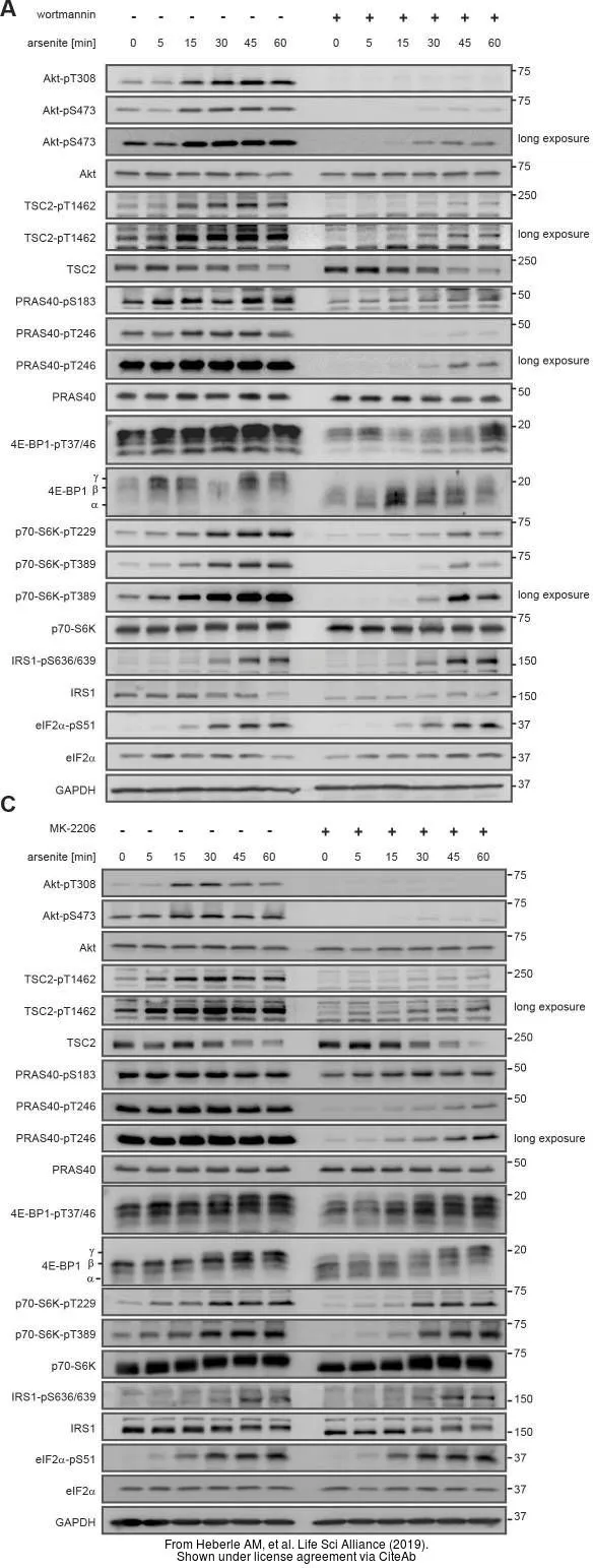 The data was published in the journal Life Sci Alliance in 2019.PMID: 30923191