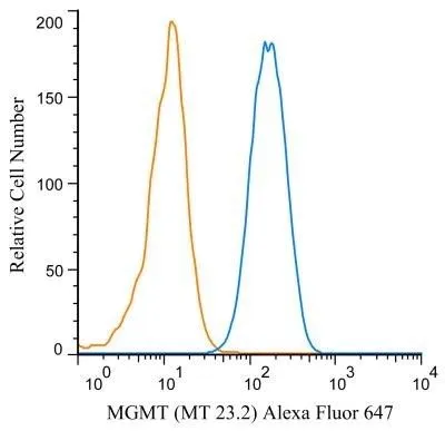 FACS (Intracellular staining) analysis of Raji cells using GTX27045 MGMT antibody [MT 23.2]. Blue : Primary antibody Orange : isotype control Dilution : 2 ug/mL Fixation : 4% PFA Permibilization : 0.1% saponin