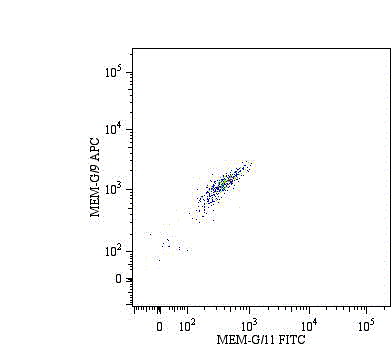 Double surface staining of HLA-G1 transfectants (viable cells gate) using anti-human HLA-G (MEM-G/9) APC (GTX79919 ) and anti-human HLA-G (MEM-G/11) FITC (GTX78370). Double surface staining of HLA-G1 transfectants (viable cells gate) using anti-human HLA-G (MEM-G/9) APC (GTX79919 ) and anti-human HLA-G (MEM-G/11) FITC (GTX78370).