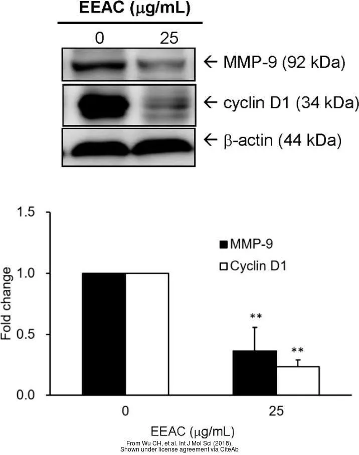 The data was published in the journal Int J Mol Sci in 2018. PMID: 29522490 The data was published in the journal Int J Mol Sci in 2018. PMID: 29522490