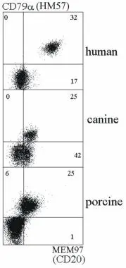 Surface staining of human peripheral blood cells with anti-human CD7 (MEM-186): FITC (GTX18276). Surface staining of human peripheral blood cells with anti-human CD7 (MEM-186): FITC (GTX18276).