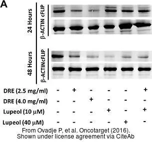The data was published in the 2016 in Oncotarget. PMID: 27564258