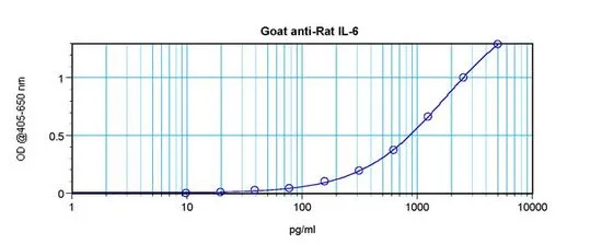 ELISA analysis of rat IL-6 recombinant protein(0.2 - 0.4 ng/well) using GTX29770 IL6 antibody(capture antibody) at 0.5 - 2.0 ug/ml and Biotinylated Anti-Rat IL-6 as a detection antibody.