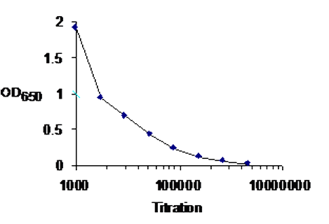 Detection of IKK-g using GTX30263 as the capture antibody in ELISA Detection of IKK-g using GTX30263 as the capture antibody in ELISA