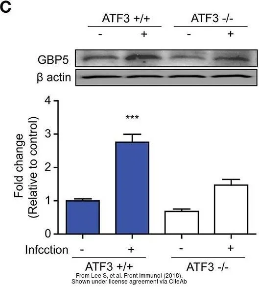 The data was published in the Front Immunol in 2018. PMID: 30214444