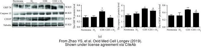The data was published in the journal Oxid Med Cell Longev in 2019. PMID: 30984338