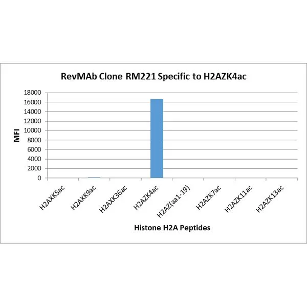 The GTX33591 reacts to Histone H2A.Z acetylatedat Lysine 4 (K4ac). No cross reactivity with non-modifiedLysine 4 or other acetylated Lysines in histone H2A. The GTX33591 reacts to Histone H2A.Z acetylatedat Lysine 4 (K4ac). No cross reactivity with non-modifiedLysine 4 or other acetylated Lysines in histone H2A.
