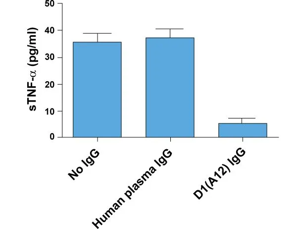D1(A12) IgG inhibits constitutive shedding of TNF-? from IGROV1 (human ovarian cancer cell line) into culture medium. Medium was collected after 48 hours of incubation with or without IgGs at 200nM.