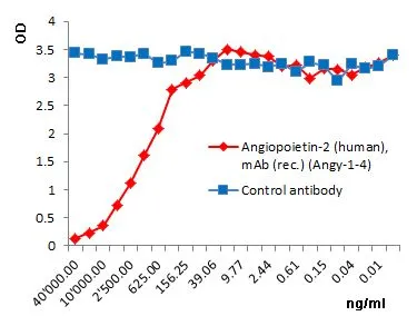 Binding of human Angiopoietin-2 to Tie-2 (human):Fc is inhibited by the antibody anti-Angiopoietin-2 (human), mAb (rec.) (blocking) (Angy-1-4) (preservative free). Methods: Tie-2 (human):Fc was coated on an ELISA plate at 1microg/ml. anti-Angiopoietin-2 (human), mAb (rec.) (blocking), (Angy-1-4) (preservative free) or an unrelated mAb (recombinant) (Control) were added (starting at 40microg/ml with a twofold serial dilution) together with 200ng/microl of Angiopoietin-2 (human). After incubation for 1h at RT, the binding was detected using an anti-FLAG antibody (HRP). Binding of human Angiopoietin-2 to Tie-2 (human):Fc is inhibited by the antibody anti-Angiopoietin-2 (human), mAb (rec.) (blocking) (Angy-1-4) (preservative free). Methods: Tie-2 (human):Fc was coated on an ELISA plate at 1microg/ml. anti-Angiopoietin-2 (human), mAb (rec.) (blocking), (Angy-1-4) (preservative free) or an unrelated mAb (recombinant) (Control) were added (starting at 40microg/ml with a twofold serial dilution) together with 200ng/microl of Angiopoietin-2 (human). After incubation for 1h at RT, the binding was detected using an anti-FLAG antibody (HRP).