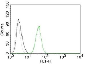 FACS analysis of Jurkat cells using GTX34489 CD31 antibody [C31.7]. Black : Blank Grey : Isotype Control Green : Primary antibody