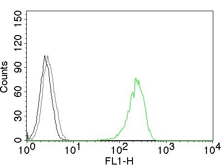 FACS analysis of K562 cells using GTX34547 CD71 antibody [66IG10]. Black : Blank Grey : Isotype Control Green : Primary antibody