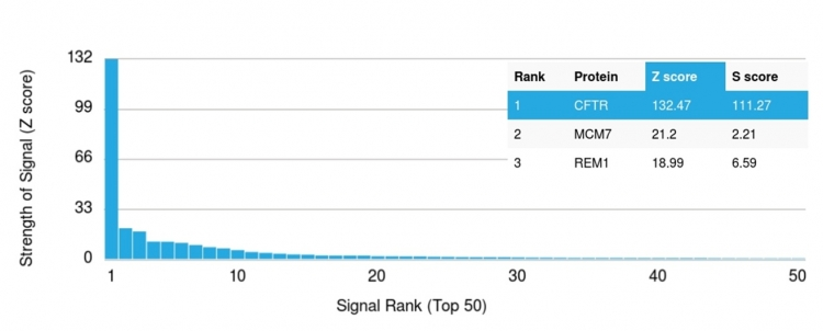 Analysis of Protein Array containing more than 19,000 full-length human proteins using CFTR Mouse Monoclonal Antibody (CFTR/1643). Z- and S- Score: The Z-score represents the strength of a signal that a monoclonal antibody produces when binding to a particular protein on the HuProtTM array. Z-scores are described in units of standard deviations (SDs) above the mean value of all signals generated on that array. If targets on HuProtTM are arranged in descending order of the Z-score, the S-score is the difference (also in units of SDs) between the Z-score. S-score therefore represents the relative target specificity of a Monoclonal Antibody to its intended target. A Monoclonal Antibody is considered to specific to its intended target if the Monoclonal Antibody has an S-score of at least 2.5. For example, if a Monoclonal Antibody binds to protein X with a Z-score of 43 and to protein Y with a Z-score of 14, then the S-score for the binding of that Monoclonal Antibody to protein X is equal to 29.