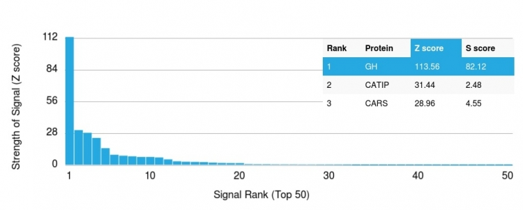 Analysis of Protein Array containing more than 19,000 full-length human proteins using Growth Hormone Mouse Monoclonal Antibody (GH/1371). Z- and S- Score: The Z-score represents the strength of a signal that a monoclonal antibody produces when binding to a particular protein on the HuProtTM array. Z-scores are described in units of standard deviations (SDs) above the mean value of all signals generated on that array. If targets on HuProtTM are arranged in descending order of the Z-score, the S-score is the difference (also in units of SDs) between the Z-score. S-score therefore represents the relative target specificity of a Monoclonal Antibody to its intended target. A Monoclonal Antibody is considered to specific to its intended target if the Monoclonal Antibody has an S-score of at least 2.5. For example, if a Monoclonal Antibody binds to protein X with a Z-score of 43 and to protein Y with a Z-score of 14, then the S-score for the binding of that Monoclonal Antibody to protein X is equal to 29.