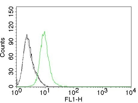 Formalin-fixed,paraffin-embedded human Cervical cancer stained with p27 Monoclonal Antibody (KIP1/769)