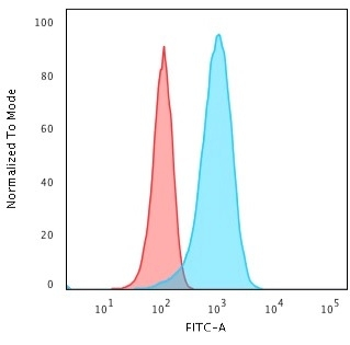 FACS analysis of T98G cells using GTX34969 PGP9.5 antibody [31A3]. Blue : Primary antibody Red : Isotype control