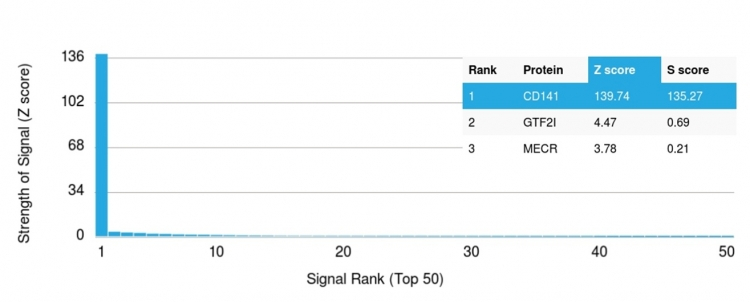 Analysis of Protein Array containing more than 19,000 full-length human proteins using Thrombomodulin/CD141 Mouse Monoclonal Antibody (THBD/1591). Z- and S- Score: The Z-score represents the strength of a signal that a monoclonal antibody produces when binding to a particular protein on the HuProtTM array. Z-scores are described in units of standard deviations (SDs) above the mean value of all signals generated on that array. If targets on HuProtTM are arranged in descending order of the Z-score, the S-score is the difference (also in units of SDs) between the Z-score. S-score therefore represents the relative target specificity of a Monoclonal Antibody to its intended target. A Monoclonal Antibody is considered to specific to its intended target if the Monoclonal Antibody has an S-score of at least 2.5. For example, if a Monoclonal Antibody binds to protein X with a Z-score of 43 and to protein Y with a Z-score of 14, then the S-score for the binding of that Monoclonal Antibody to protein X is equal to 29.