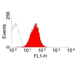 FACS analysis of Brown Norway rat spleen cells using GTX39697 MHC Class I RT1Ac antibody [OX-27].