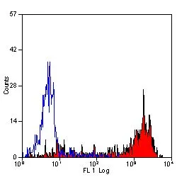 FACS analysis of mouse peripheral blood granulocytes using GTX39793 Ly-6B.2 antibody [7/4].