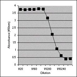 ELISA analysis of mouse interferon gamma recombinant protein using GTX39971 IFN gamma antibody [XMG1.2] (Low endotoxin, azide free).