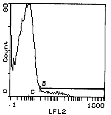 Staining of mouse splenic T cells using TCR gamma + delta: Biotin antibody (GTX41317) and Biotin hamster IgG isotype control.