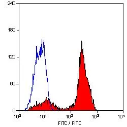 FACS analysis of human peripheral blood lymphocytes using GTX42303 CD2 antibody [LT2] (Low endotoxin,azide free).