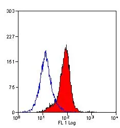 FACS analysis of mouse peripheral blood lymphocytes using GTX42517 ICAM2 antibody [mIC2/4 (3C4)].