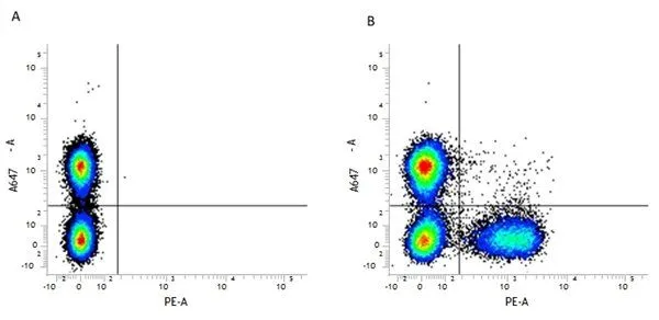 Figure A. Alexa647R conjugated rat anti mouse CD19 and RPE conjugated Rat IgG2b isotype control (GTX74769). Figure B. Alexa647R conjugated rat anti mouse CD19 and RPE conjugated rat anti mouse CD3 (GTX43115). All experiments performed on murine splenocytes Figure A. Alexa647R conjugated rat anti mouse CD19 and RPE conjugated Rat IgG2b isotype control (GTX74769). Figure B. Alexa647R conjugated rat anti mouse CD19 and RPE conjugated rat anti mouse CD3 (GTX43115). All experiments performed on murine splenocytes