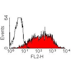 FACS analysis of Con A activated rat splenic lymphocytes using GTX43135 IL2 Receptor alpha antibody [OX-39] (PE).