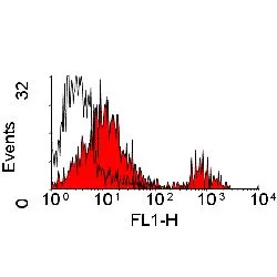 FACS analysis of bovine peripheral blood lymphocytes using GTX43329 Wc1 antibody [CC15] (FITC).