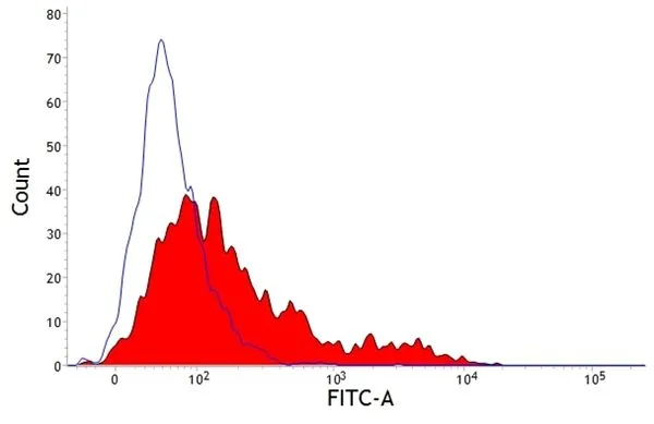 FACS analysis of bovine peripheral blood lymphocytes using GTX43330 Wc1 antibody [CC101] (FITC).