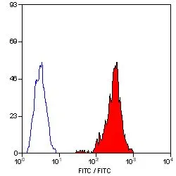 FACS analysis of pig peripheral blood lymphocytes using GTX43353 SLA Class I antibody [JM1E3] (FITC).