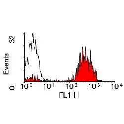 FACS analysis of dog peripheral blood lymphocytes using GTX43387 MHC Class II (monomorphic) antibody [YKIX334.2] (FITC).
