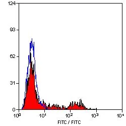 FACS analysis of sheep peripheral blood lymphocytes using GTX43395 MHC Class II DQ/DR (polymorphic) antibody [49.1] (FITC).