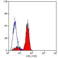 FACS analysis of mouse peripheral blood granulocytes using GTX43454 Dectin-1 antibody [2A11] (FITC).