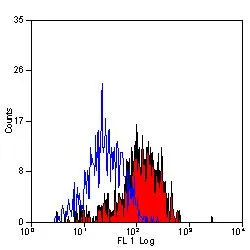 FACS analysis of mouse peritoneal macrophages using GTX43457 Dectin-1 antibody [2A11] (FITC).