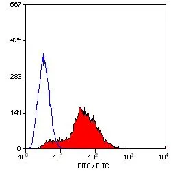 FACS analysis of mouse spleen cells using GTX43491 CD81 antibody [Eat2] (FITC).