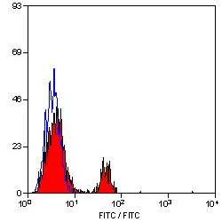 FACS analysis of dog peripheral lymphocytes using GTX43497 CD8 antibody [YCATE55.9] (FITC).