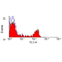 FACS analysis of bovine peripheral blood lymphocytes using GTX43499 CD8 antibody [CC63] (FITC).