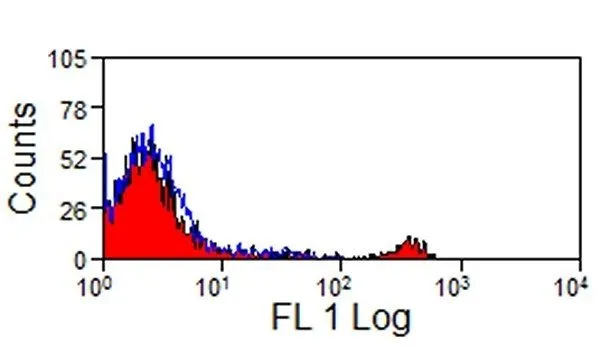 FACS analysis of sheep peripheral blood lymphocytes using GTX43502 CD8 antibody [38.65] (FITC).