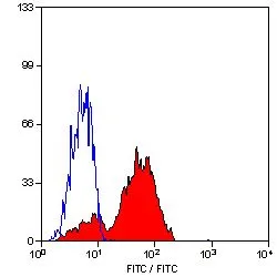 FACS analysis of human peripheral blood lymphocytes using GTX43505 CD81 antibody [1D6].
