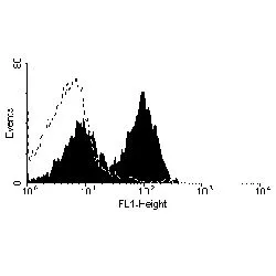 FACS analysis of rat splenocytes using GTX43544 CD5 antibody [OX-19] (FITC).