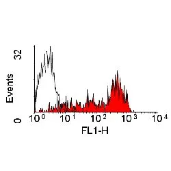 FACS analysis of dog peripheral blood lymphocytes using GTX43577 CD45R antibody [YKIX753.22.2] (FITC).