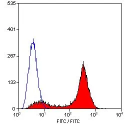 FACS analysis of rat spleen cells using GTX43586 CD45 antibody [OX-1] (FITC).