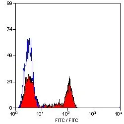 FACS analysis of dog peripheral blood lymphocytes using GTX43598 CD4 antibody [YKIX302.9] (FITC).