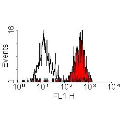 FACS analysis of bovine peripheral blood monocytes using GTX43767 CD11b antibody [CC126] (FITC).