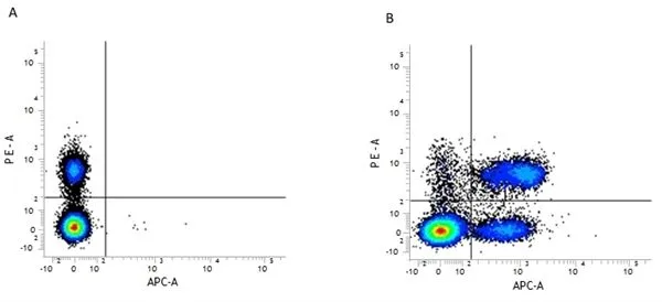 Figure A. RPE conjugated rat anti mouse CD4 (GTX43089) and APC conjugated Rat IgG2a isotype control. Figure B. RPE conjugated rat anti mouse CD4 (GTX43089) and APC conjugated rat anti mouse CD3 (GTX44014). All experiments performed on murine splenocytes Figure A. RPE conjugated rat anti mouse CD4 (GTX43089) and APC conjugated Rat IgG2a isotype control. Figure B. RPE conjugated rat anti mouse CD4 (GTX43089) and APC conjugated rat anti mouse CD3 (GTX44014). All experiments performed on murine splenocytes