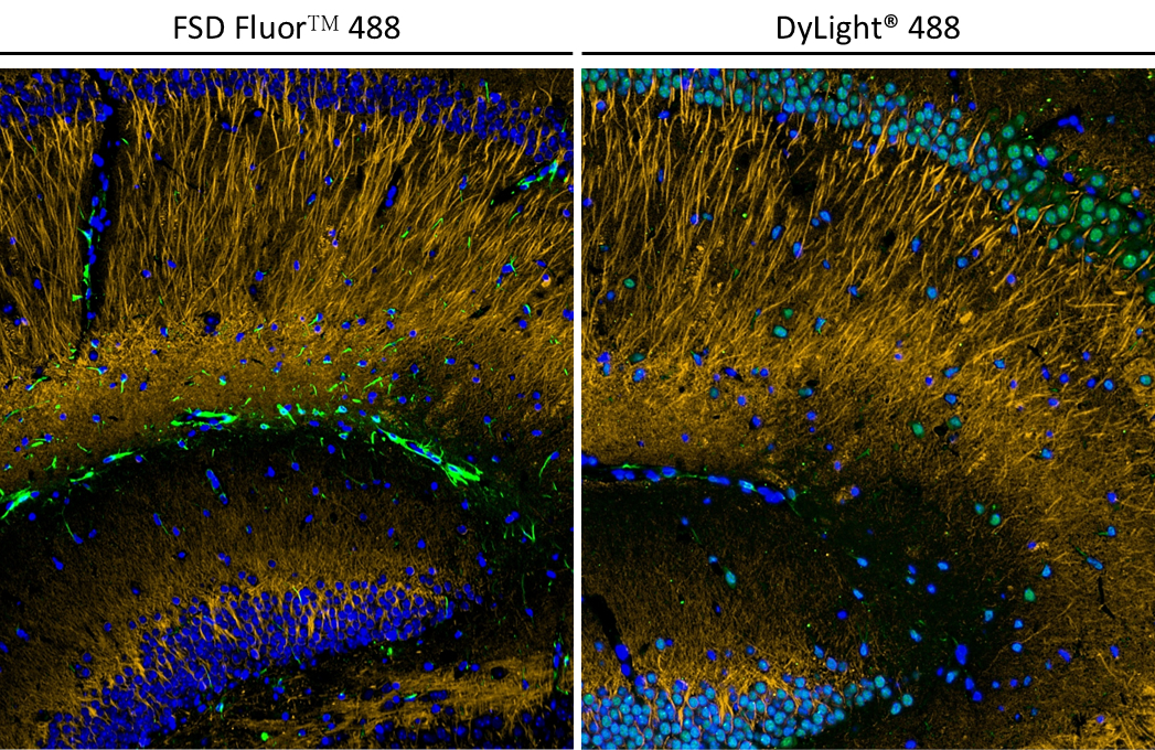 FSD Fluor™ Triple-Color (488/594/647) Antibody Labeling Kit