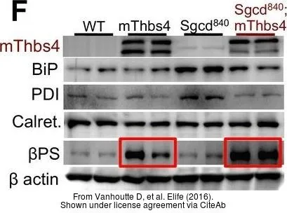 The data was published in the journal Elife in 2016. PMID: 27669143