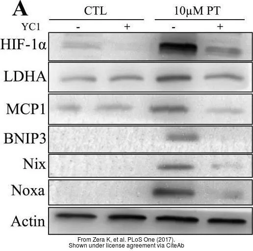 The data was published in the journal PLoS One in 2017. PMID: 29045486